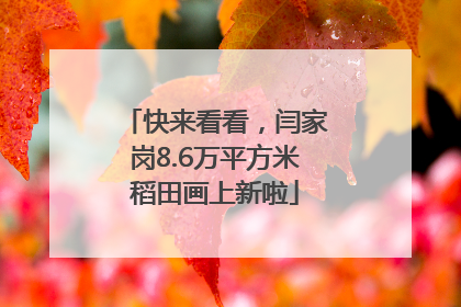 快来看看，闫家岗8.6万平方米稻田画上新啦