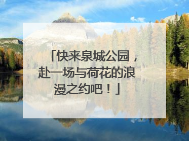 快来泉城公园，赴一场与荷花的浪漫之约吧！