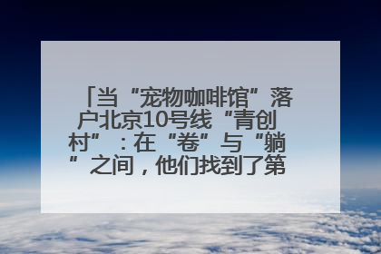 当“宠物咖啡馆”落户北京10号线“青创村”：在“卷”与“躺”之间，他们找到了第三种生活公式