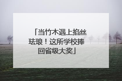 当竹木遇上掐丝珐琅！这所学校捧回省级大奖