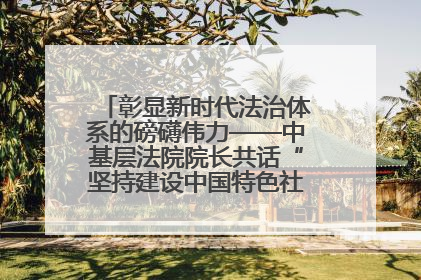 彰显新时代法治体系的磅礴伟力——中基层法院院长共话“坚持建设中国特色社会主义法治体系”