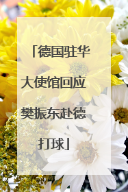 德国驻华大使馆回应樊振东赴德打球