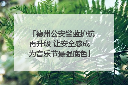 德州公安警蓝护航再升级 让安全感成为音乐节最强底色