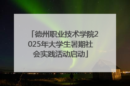 德州职业技术学院2025年大学生暑期社会实践活动启动