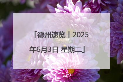 德州速览丨2025年6月3日 星期二