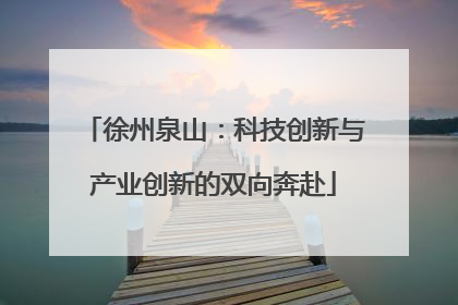 徐州泉山：科技创新与产业创新的双向奔赴