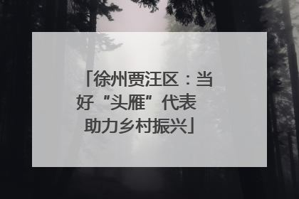 徐州贾汪区：当好“头雁”代表 助力乡村振兴