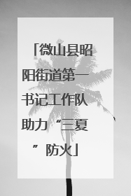 微山县昭阳街道第一书记工作队助力“三夏”防火