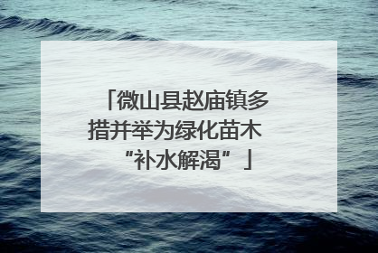 微山县赵庙镇多措并举为绿化苗木“补水解渴”