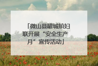 微山县驩城镇妇联开展“安全生产月”宣传活动