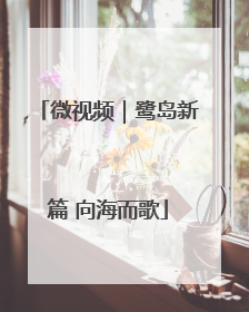 微视频｜鹭岛新篇 向海而歌
