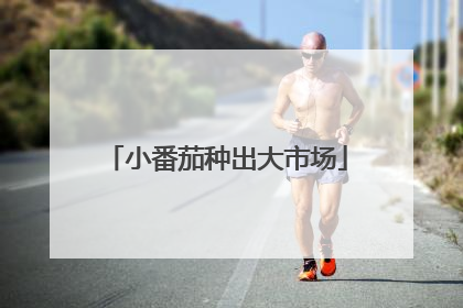 小番茄种出大市场