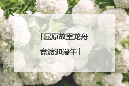屈原故里龙舟竞渡迎端午