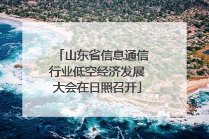 山东省信息通信行业低空经济发展大会在日照召开