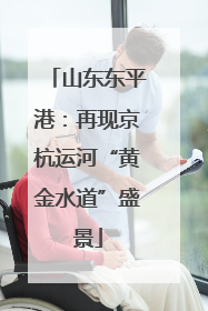 山东东平港：再现京杭运河“黄金水道”盛景