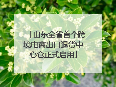 山东全省首个跨境电商出口退货中心仓正式启用