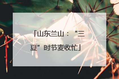 山东兰山：“三夏”时节麦收忙