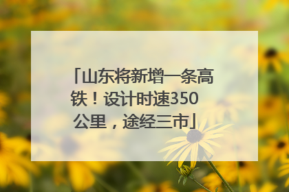 山东将新增一条高铁！设计时速350公里，途经三市