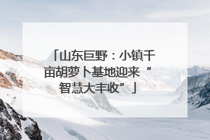 山东巨野：小镇千亩胡萝卜基地迎来“智慧大丰收”