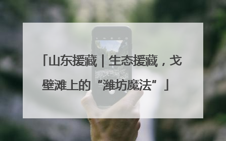 山东援藏｜生态援藏，戈壁滩上的“潍坊魔法”