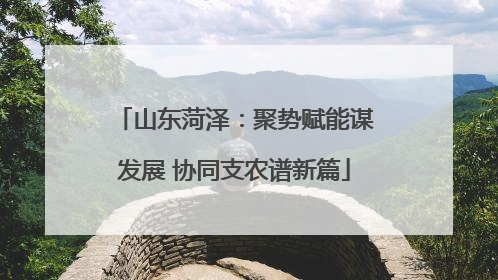 山东菏泽：聚势赋能谋发展 协同支农谱新篇