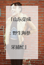 山东荣成：野生海参采捕忙