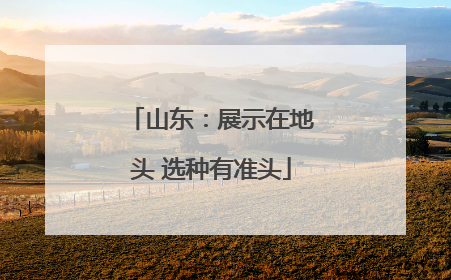 山东：展示在地头 选种有准头