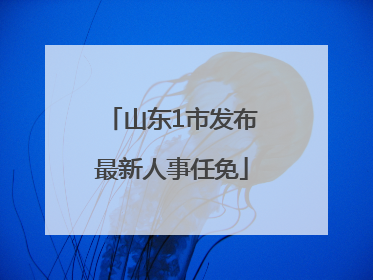山东1市发布最新人事任免
