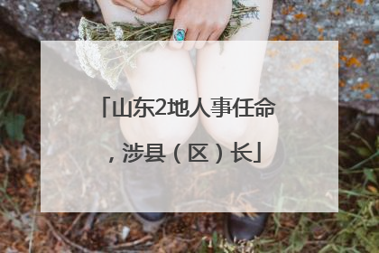 山东2地人事任命，涉县（区）长