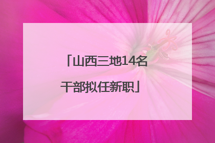 山西三地14名干部拟任新职