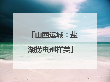 山西运城：盐湖捞虫别样美