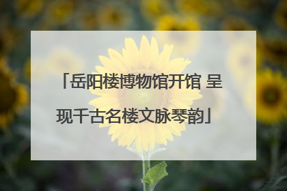 岳阳楼博物馆开馆 呈现千古名楼文脉琴韵