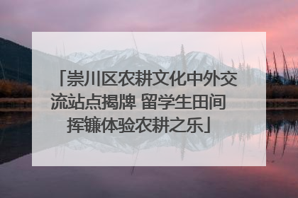崇川区农耕文化中外交流站点揭牌 留学生田间挥镰体验农耕之乐