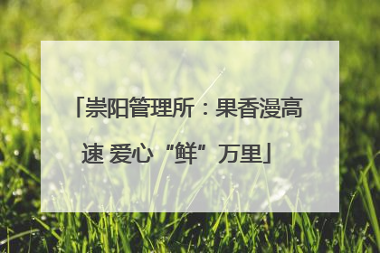 崇阳管理所：果香漫高速 爱心“鲜”万里