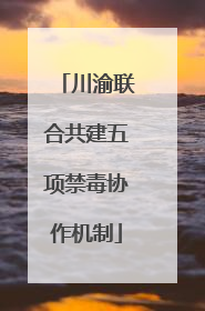 川渝联合共建五项禁毒协作机制