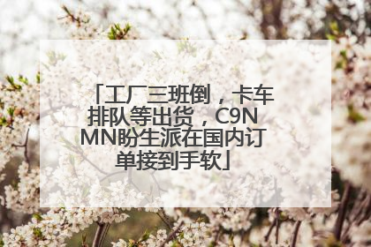 工厂三班倒，卡车排队等出货，C9NMN盼生派在国内订单接到手软