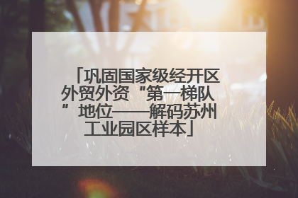 巩固国家级经开区外贸外资“第一梯队”地位——解码苏州工业园区样本