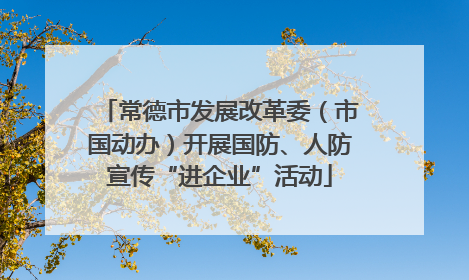 常德市发展改革委（市国动办）开展国防、人防宣传“进企业”活动