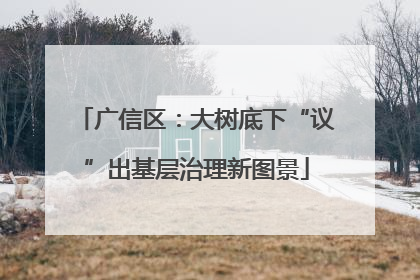广信区：大树底下“议”出基层治理新图景