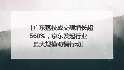 广东荔枝成交额增长超560%，京东发起行业最大规模助销行动