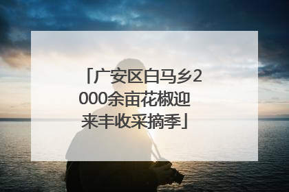 广安区白马乡2000余亩花椒迎来丰收采摘季