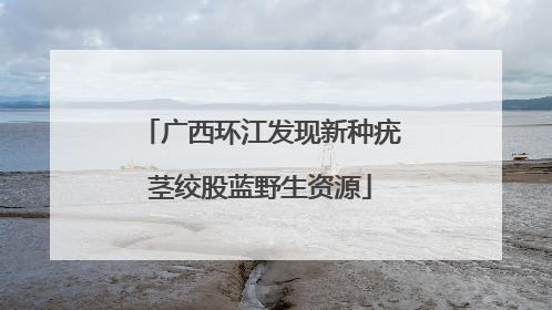 广西环江发现新种疣茎绞股蓝野生资源