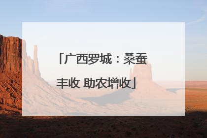 广西罗城：桑蚕丰收 助农增收