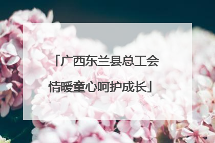 广西东兰县总工会情暖童心呵护成长