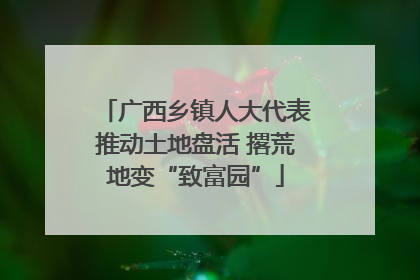 广西乡镇人大代表推动土地盘活 撂荒地变“致富园”