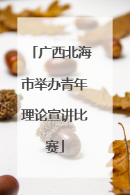 广西北海市举办青年理论宣讲比赛