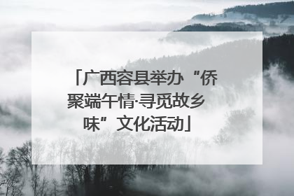广西容县举办“侨聚端午情·寻觅故乡味”文化活动