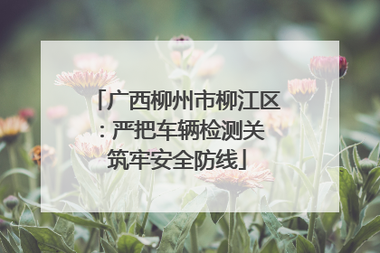 广西柳州市柳江区：严把车辆检测关 筑牢安全防线