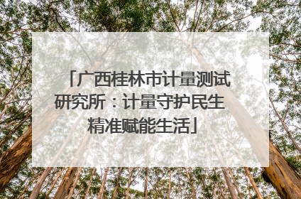 广西桂林市计量测试研究所：计量守护民生 精准赋能生活