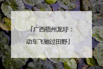 广西梧州龙圩：动车飞驰过田野
